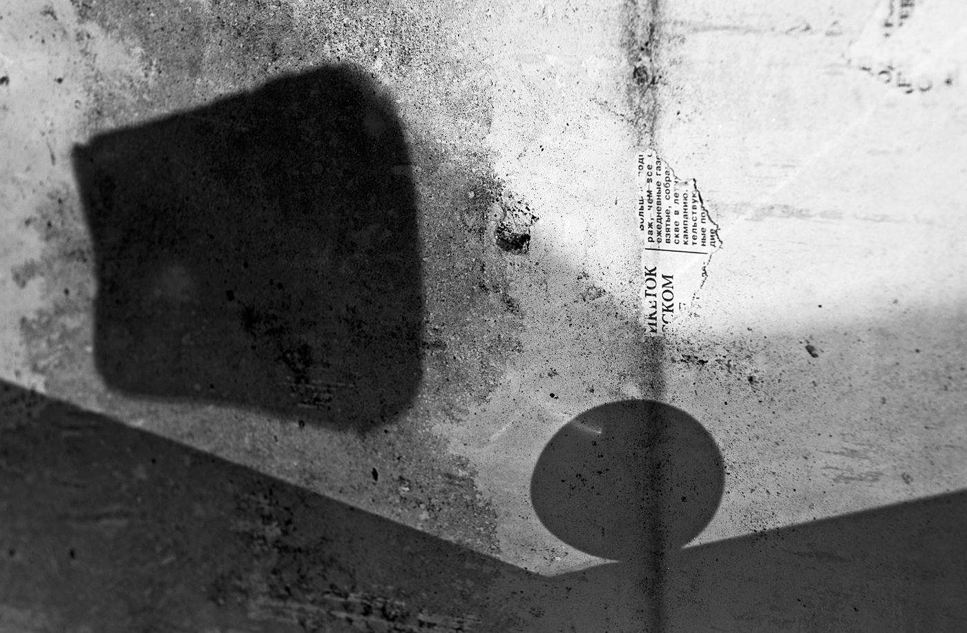 Maria Vorobieva. Portfolio. Монохром. DSC_6476