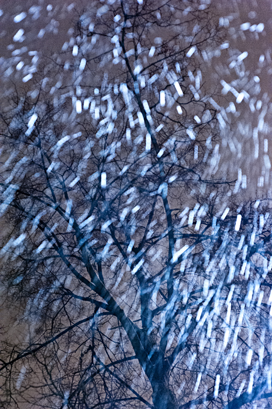 Мария Воробьева. Портфолио. Пригороды. DSC_2834